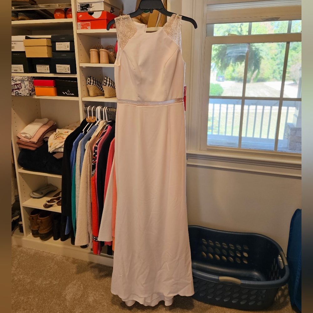 Carmen Marc Valvo Pale Pink Gown size 6